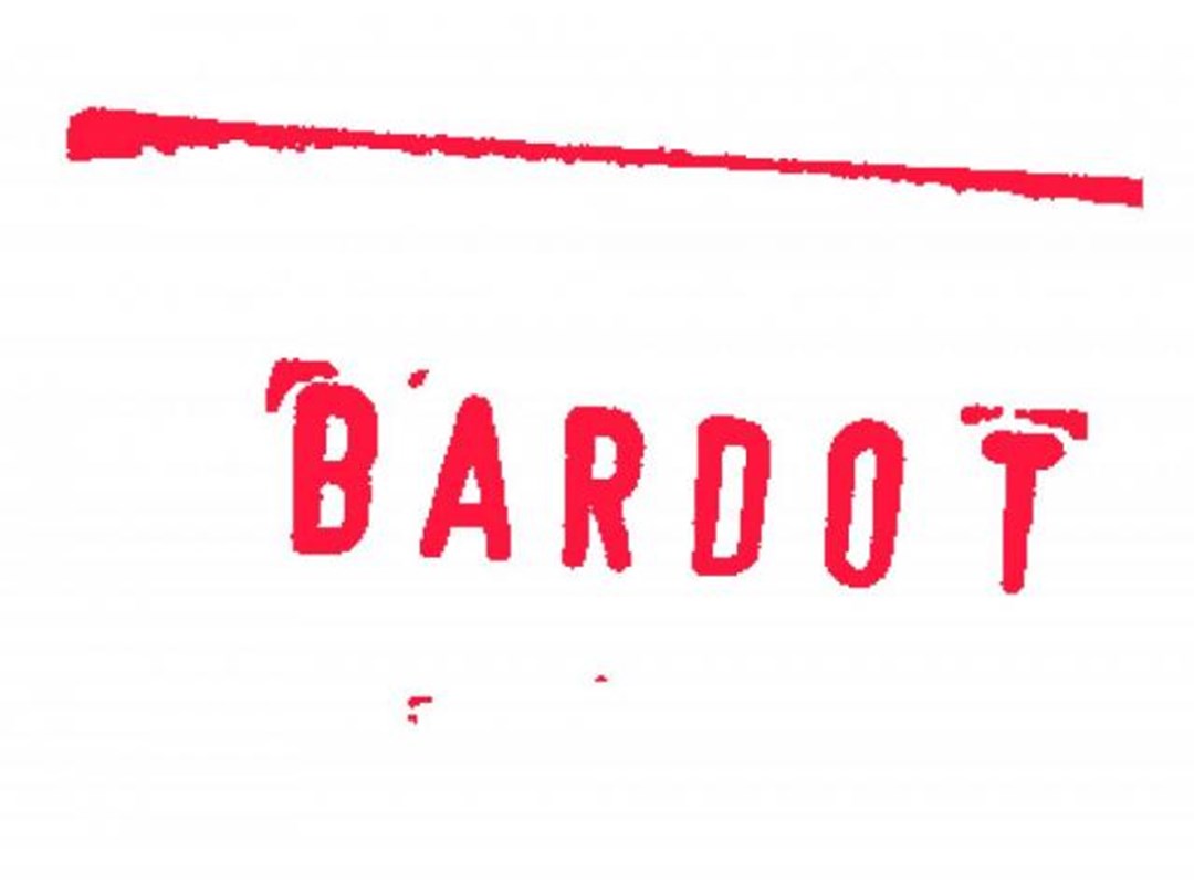 BARDOT LIVE Wynwood header